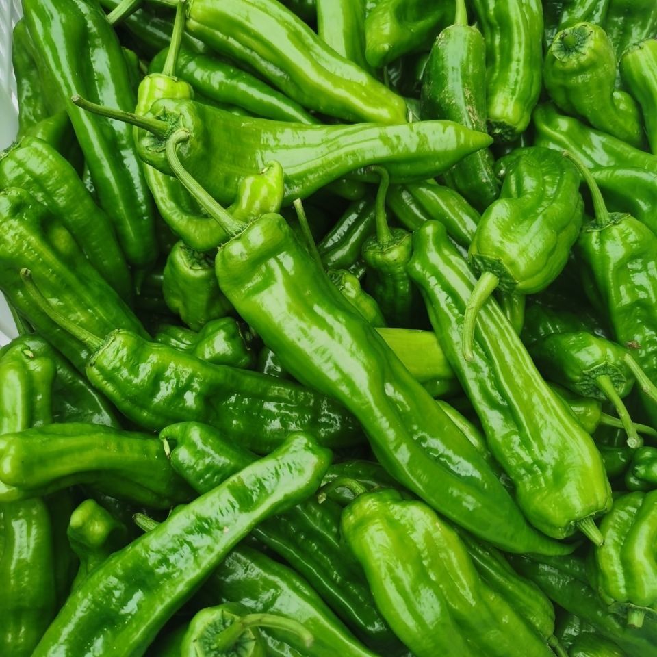 5斤包邮薄皮青椒新鲜青辣椒微辣虎皮青椒应季时令蔬菜农家自种