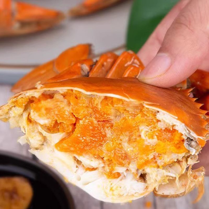 青蟹云南鲜活母大特大螃蟹满黄红膏蟹红树林青螃蟹黄油蟹工厂代发