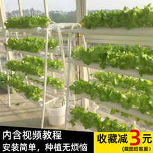 无土栽培机多层花架蔬菜LED种菜植物补光灯阳台种菜种植水培智能
