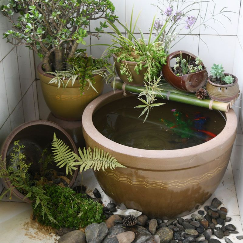 水缸家用老式土陶发酵缸米桶腌菜腌肉庭院造景种花养鱼荷花缸代货
