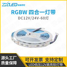 5050RGBW四合一七彩低压灯带 RGBWW五合一彩光变色软灯条工厂直销