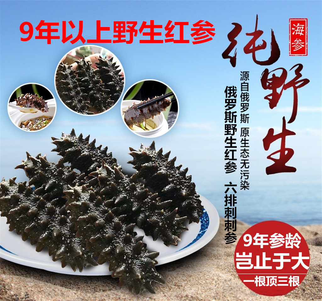 俄罗斯进口野生淡干海参 红参六排刺参9年大红纯野生海参干货礼盒