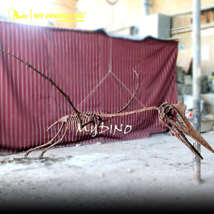 新款仿真恐龙悬挂风神翼龙骨架化石 动物骨骼大型商场橱窗摆件