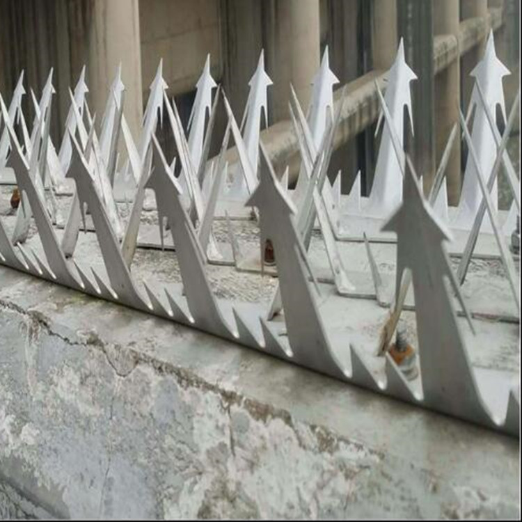 0成交10个别墅小区校园围墙防攀爬防盗刺钉 天台隔离刺钉 乡村院墙