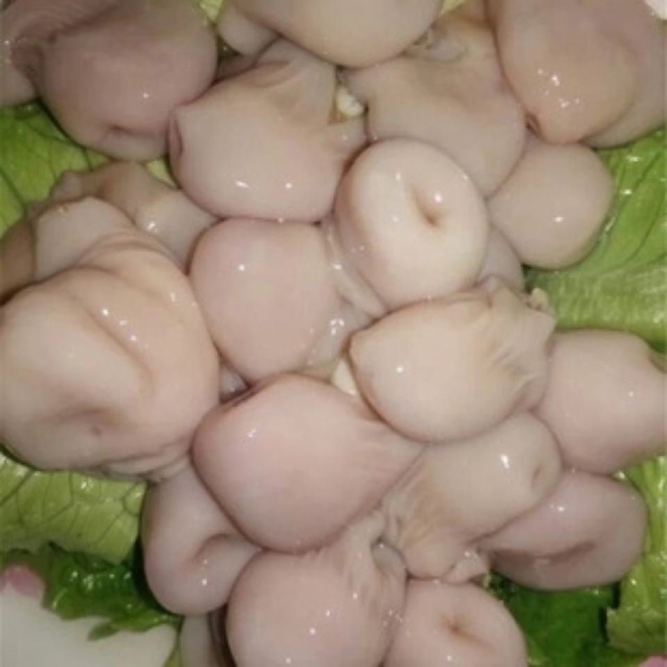 四川火锅新鲜兔肚,火锅食材,兔肚头500克 3斤口口脆食材 斤