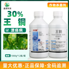 青岛东生扑因富30%王铜悬浮剂柑橘树杀菌剂农药