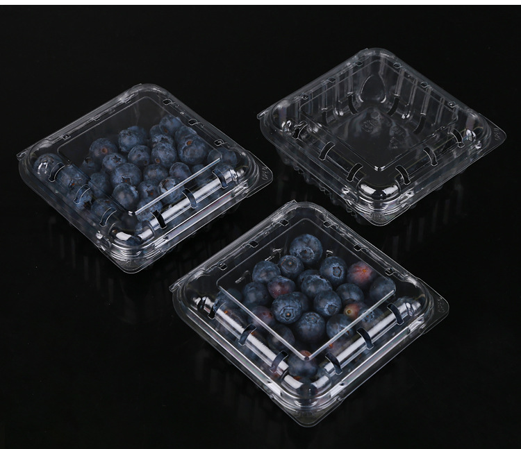 水果包装盒125克蓝莓盒pet材质透气有盖草莓桑葚包装盒厂家定制