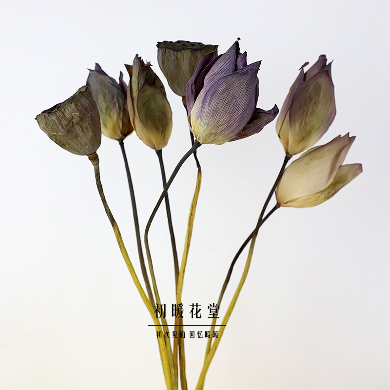 荷花干花真杆风干莲蓬供佛禅意干果家居民宿装饰花客厅复古风插花
