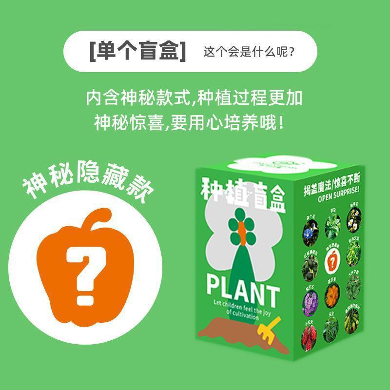 Lianyu Szhy008 Planting Greenhouse-Planting Blind Box (12 PCs/Display Box) Tide Play Planting Toys