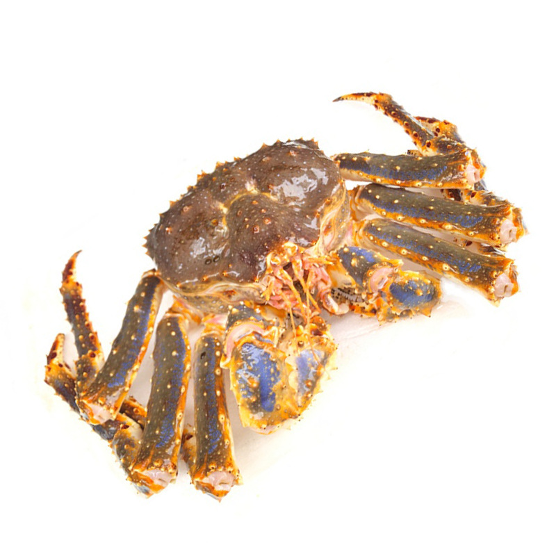 速冻帝王蟹生冻阿拉斯加长脚蟹面包蟹海鲜肉质紧实饱满4-8斤只