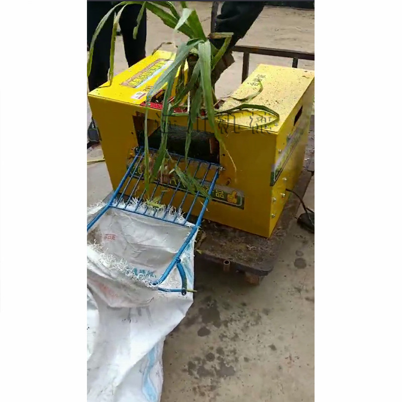 电动款大蒜剪切机 大蒜剪头机 多头鲜蒜去茎机 大蒜切杆机