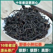 武夷山正山小种红茶古树老枞红茶高山野茶小种赤甘茶叶散装500g