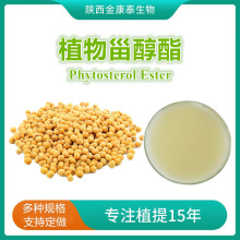 植物甾醇酯97%植物甾醇油酸酯新资源食品Phytosterol Ester1kg起