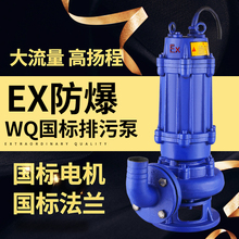 BQW防爆EX污水泵380V加油站LNG站集水池潜水排水泵三相抽水排污泵