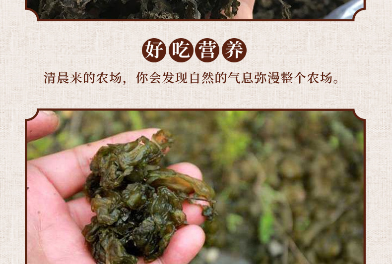 江西特产爱进地皮菜免洗地衣雷公菌地软耳脱水干货一件代发50g