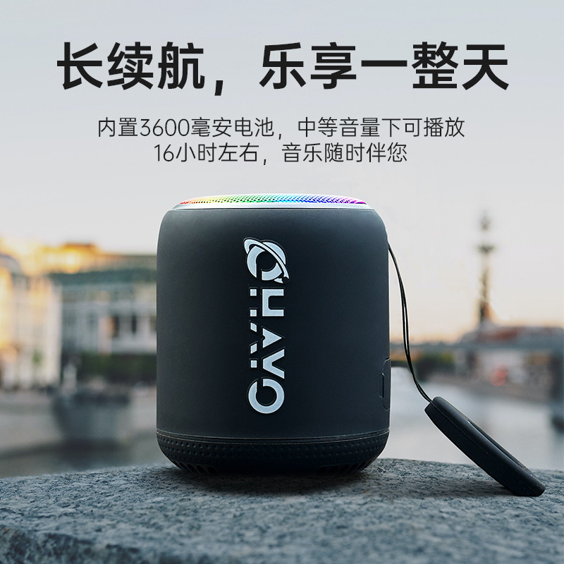 雷登xb10 蓝牙音箱无线迷你小型音响户外便携式超重低音炮高音质