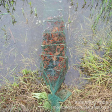 批发龙虾苗淡水虾苗青虾苗