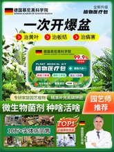 【园艺科研】六合一植物花卉多肉型氮磷钾缓释营养棒