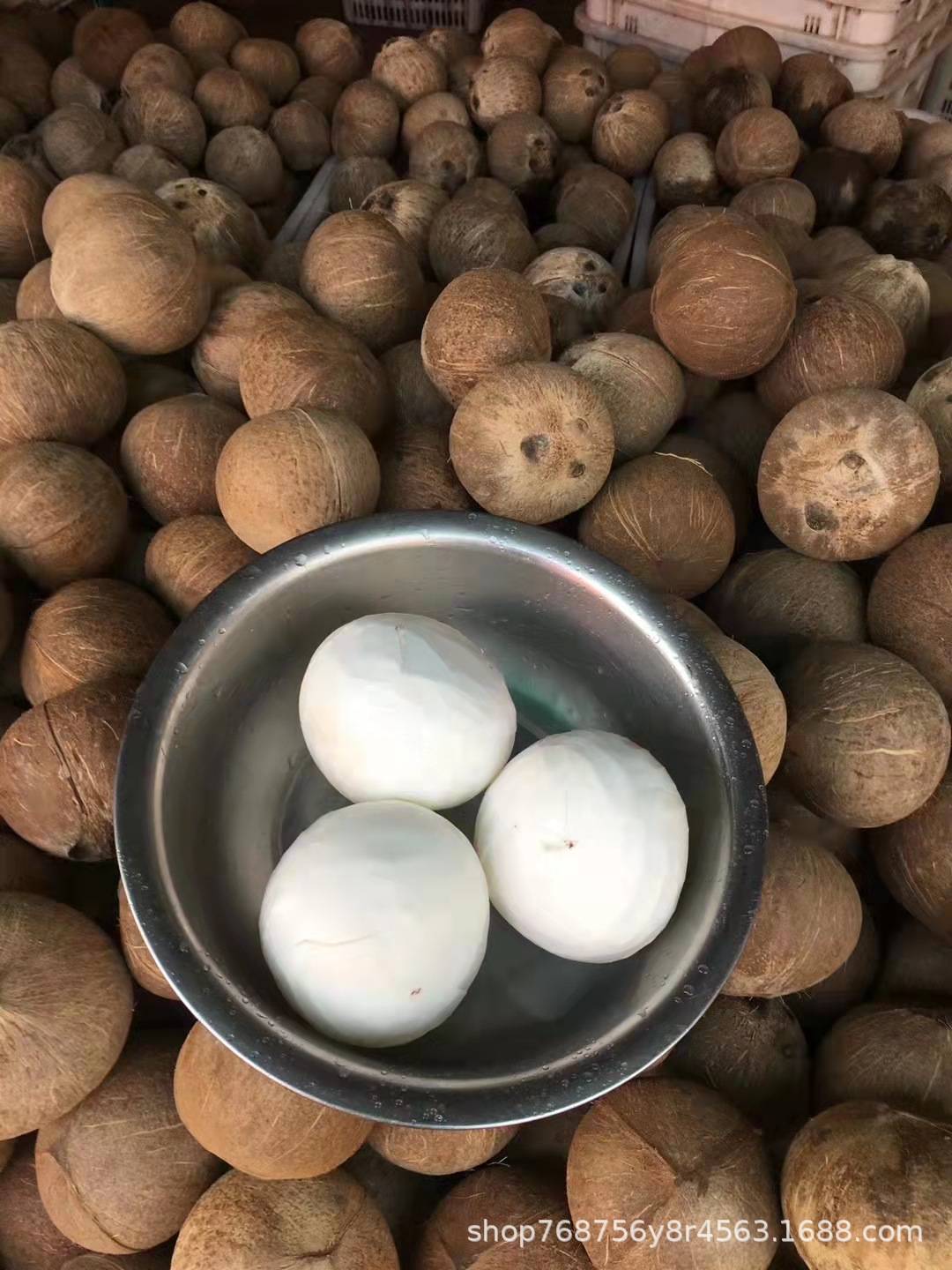 海南椰子椰皇老椰子毛椰子椰肉椰肉片椰球各类椰子加工产品可开壳
