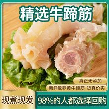 牛蹄筋熟食卤味下酒菜牛筋新鲜正宗现杀黄牛牛蹄筋一件代发