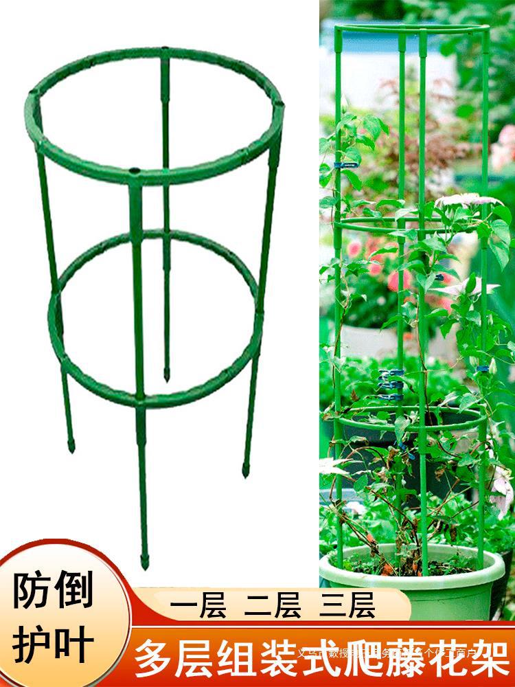 蟹爪兰支架植物爬藤架子多层双层园艺花架兰花绿萝防倒护叶支撑架