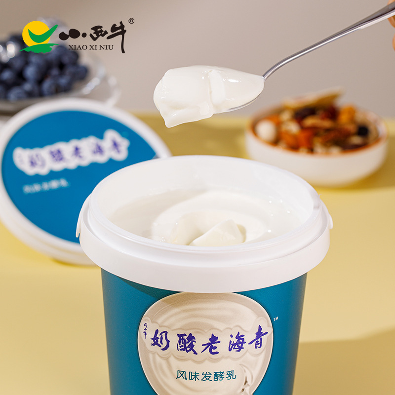 青海光明小西牛桶装老酸奶桶酸1l*2桶原味益生菌酸奶高原4.