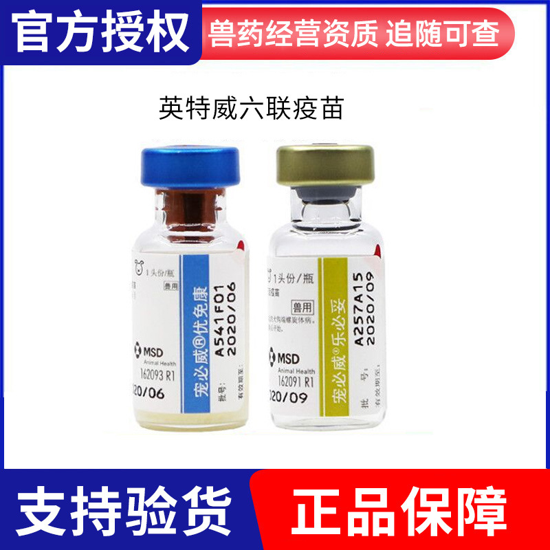 【现货】荷兰英特威犬用6联/六联疫苗宠物狗狗疫苗犬用疫苗