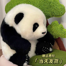 【熊猫工厂】五月龄萌兰花花仿真熊猫玩偶毛绒玩具情人节礼物女生