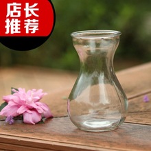 懒人盆风信子水培植物花瓶水培容器透明玻璃瓶花盆瓶植物器皿包邮