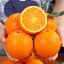 重庆奉节脐橙橙子新鲜水果产地直发当季整箱包邮血橙中国大陆其他