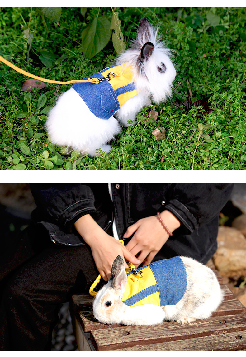 宠物兔子牵引绳衣服垂耳兔侏儒兔服装溜兔绳遛兔绳兔兔绳子牵兔绳
