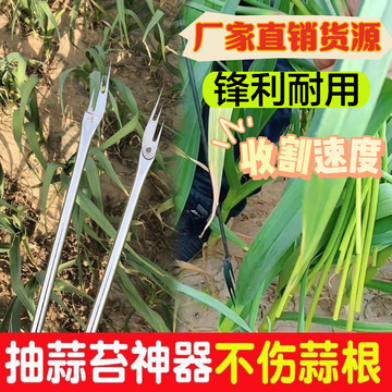 抽蒜苔神器蒜苔收割刀拔蒜苔工具蒜薹刀加长不锈钢抽蒜苔打蒜苔刀