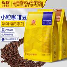 农科院意式经典咖啡豆新鲜烘焙可现磨粉浓缩黑咖啡阿拉比卡500g