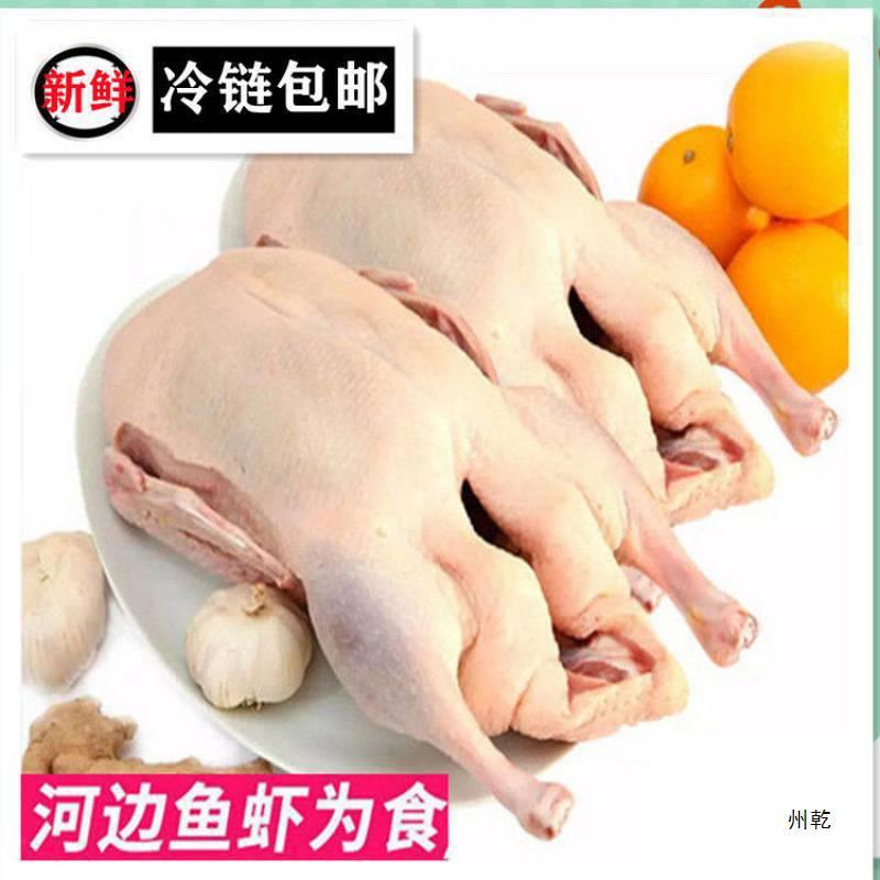 限时(2只)散养土鸭白条鸭老鸭整只麻鸭鸭肉水鸭生鲜肉类-阿里巴巴