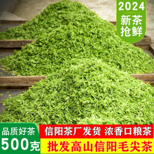 批发福利茶叶信阳毛尖2024新茶雨前春茶高山云雾绿茶散装毛尖500g