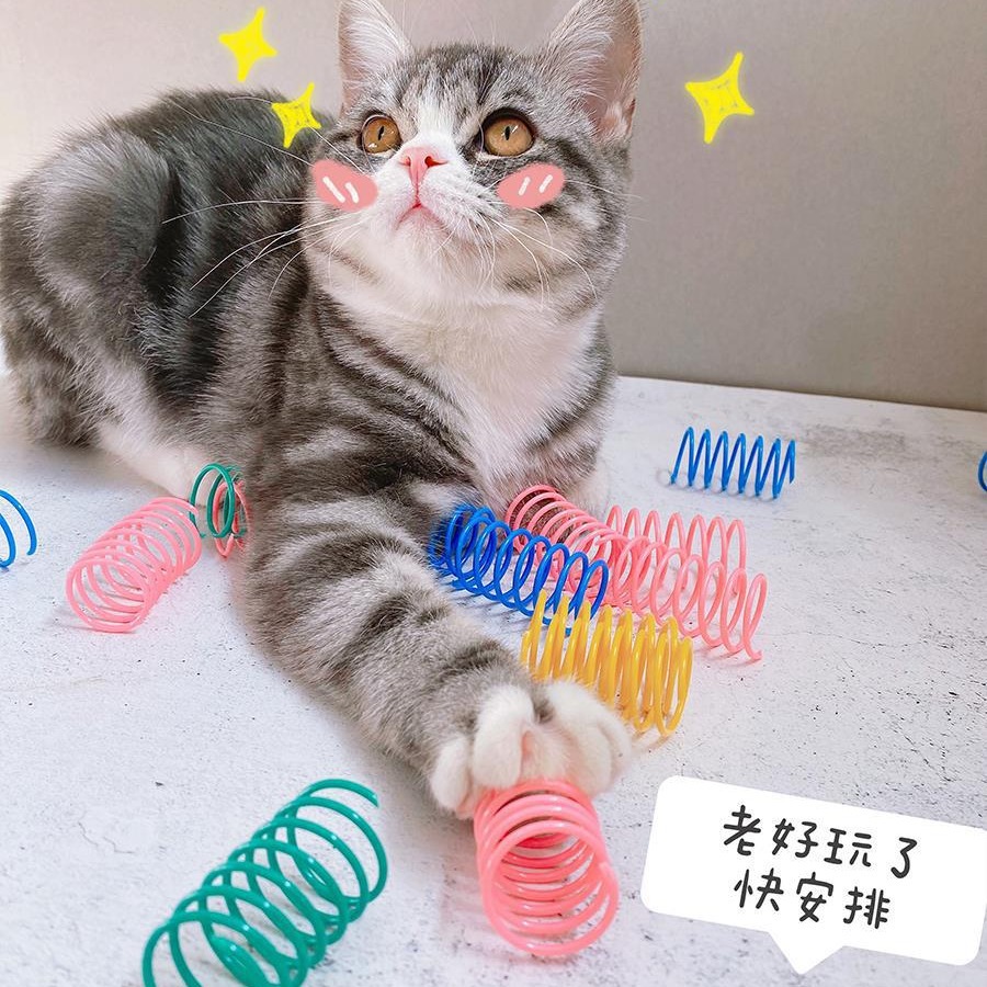 猫咪创意小弹簧玩具幼猫彩色塑料弹力逗猫棒猫自嗨解闷神器耐啃咬