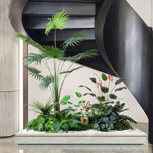 绿植室内楼梯下造景空间转角盆栽假树景观物植物装饰客厅落地