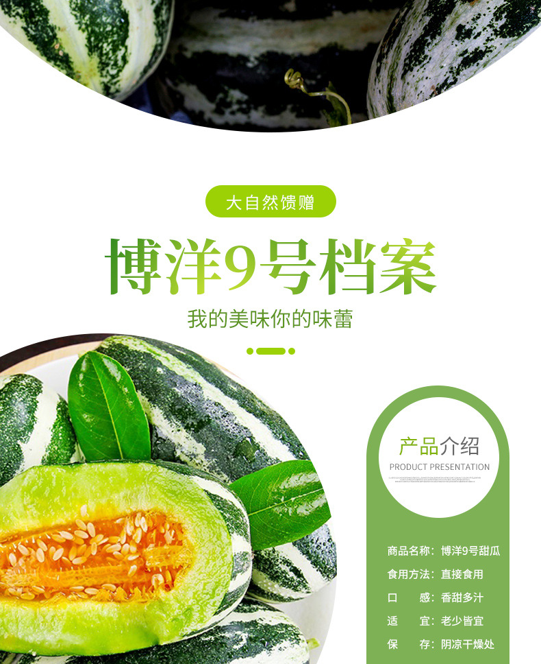 博洋9号甜瓜产地直发3斤5斤新鲜甜瓜批发脆甜羊角蜜博洋9号包邮