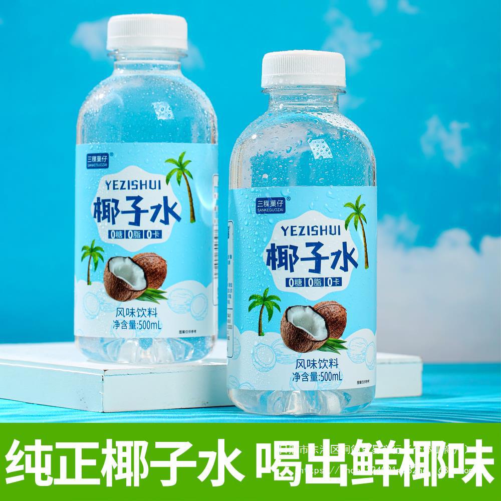椰子水生椰风味饮料整箱批特价500ml*15瓶椰子汁果汁饮料低卡饮品