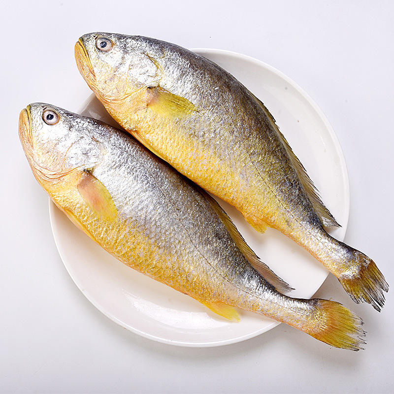黄花鱼冷冻新鲜鲜活速冻特大黄鱼海鲜生鲜3只装