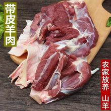 羊腿新鲜带皮去骨原切肉内蒙散养现宰生羊肉羊排批发火锅淄博烧烤