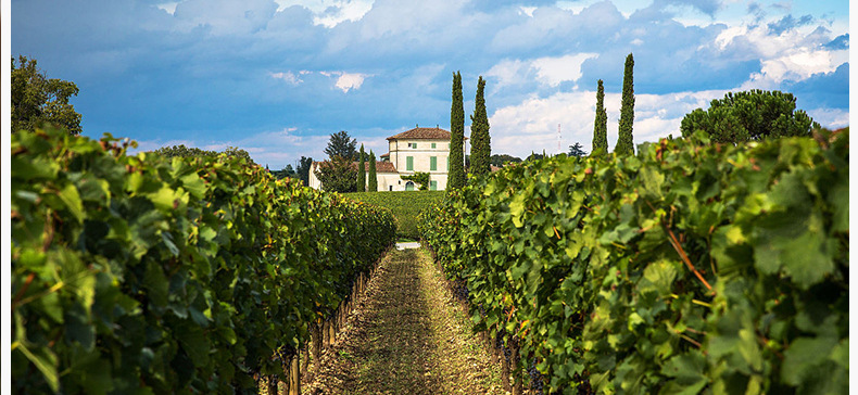 法国勃艮第名庄勒桦酒庄红葡萄酒