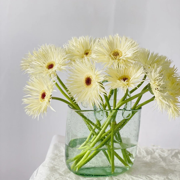 非洲菊鲜花批发扶郎花太阳花拉丝菊鲜花花店摆摊用花社区团购货源