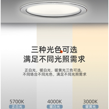 W1TR佛山照明led射灯 天花灯嵌入式开孔铝材孔灯客厅家用吊顶牛眼