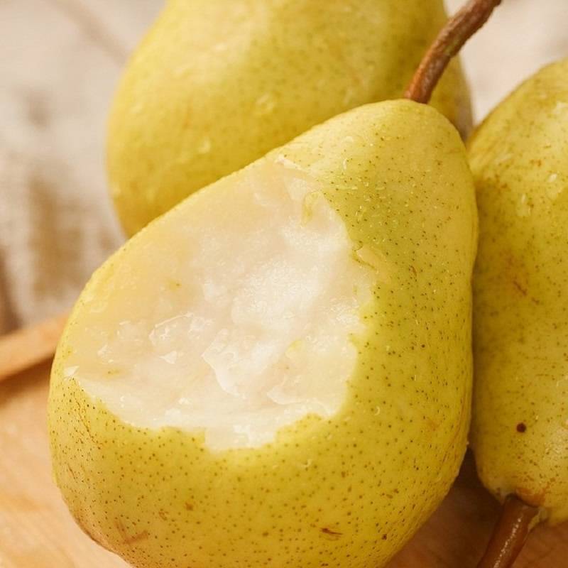 烟台太婆梨软梨大头梨红啤梨子新鲜水果当应季5斤啤酒茄梨香蕉10