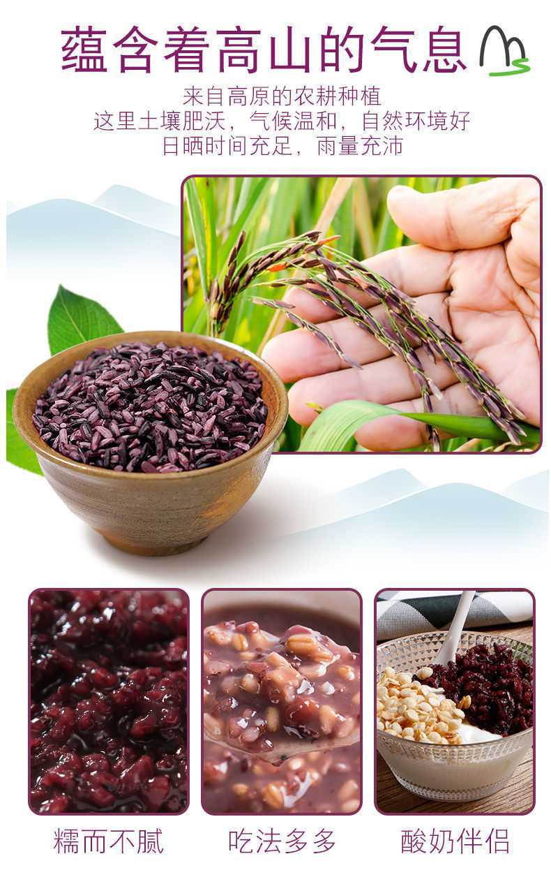 云南紫米墨江紫米新米血糯米云南特产紫米饭黑米糯米粗粮500g/袋
