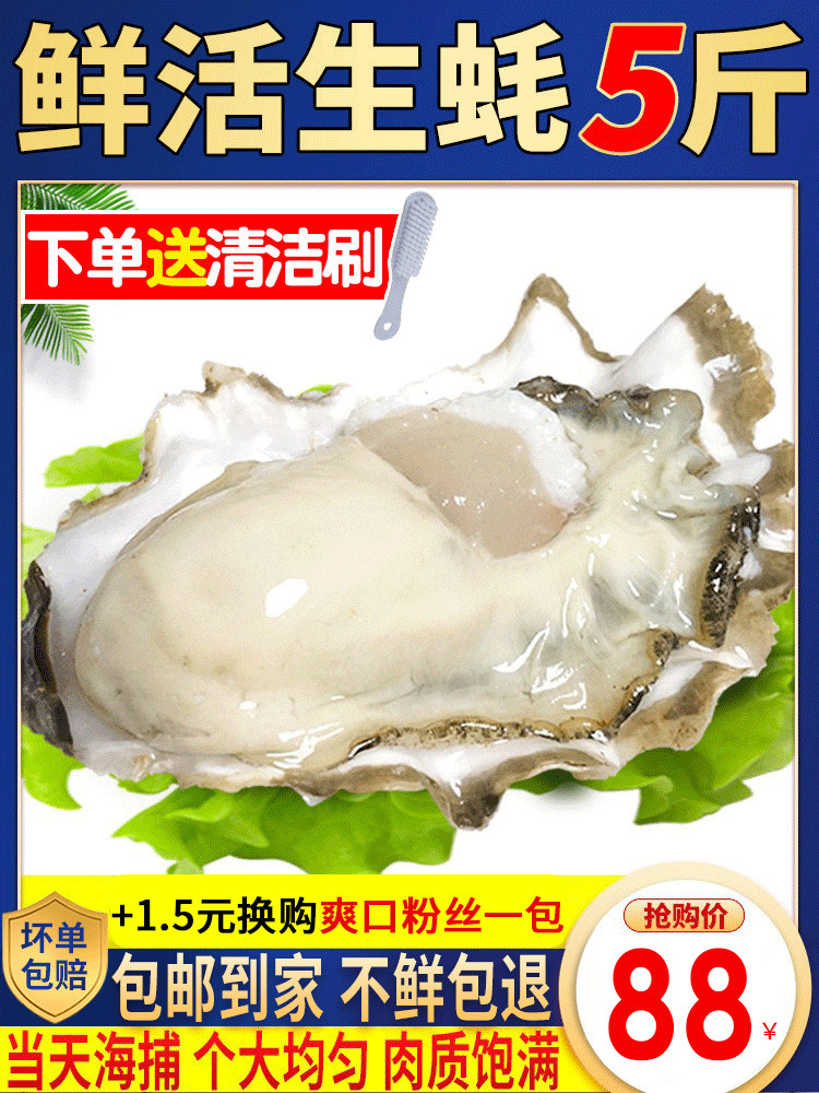 生蚝鲜活特大5斤新鲜牡蛎海鲜贝壳超大带壳海蛎子烧烤食材1箱商用