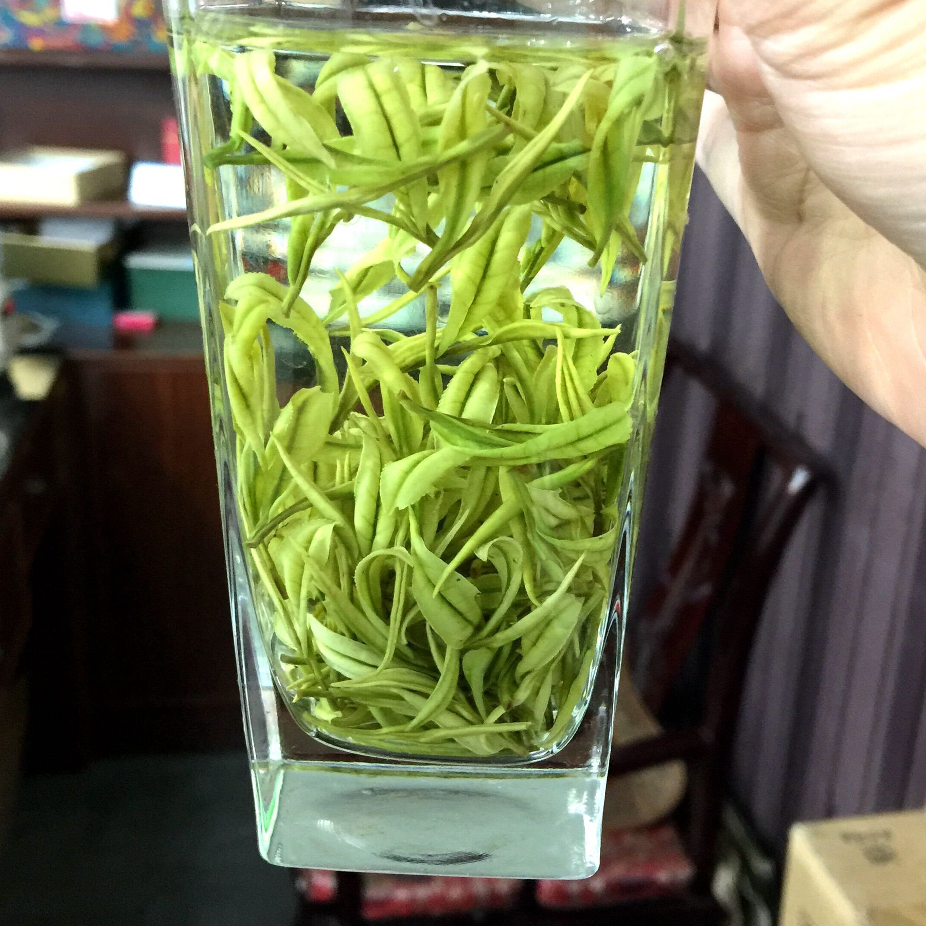 艾达福 安吉白茶 兰香奶白高爽 明前 一芽一两叶 2021年新绿春茶