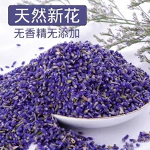 厂家直销新疆薰衣草干花粒泡花茶做枕头香包填充香袋纯天然无香精