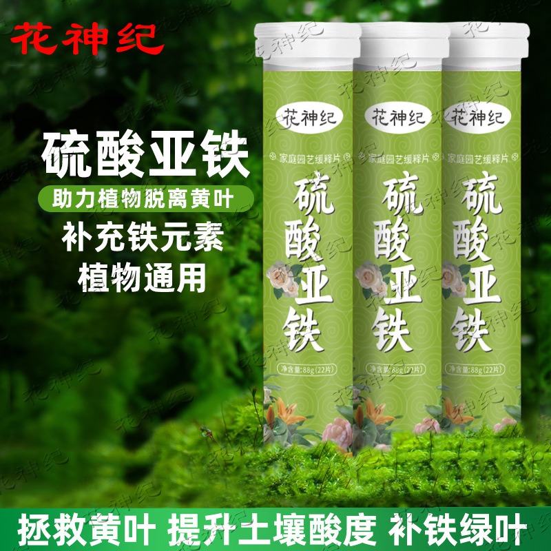 硫酸亚铁园艺片花肥料酸性土壤植物营养液流盆栽防黄叶专用水溶肥